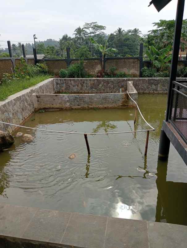 vila dan kolam ikan serang panjang subang