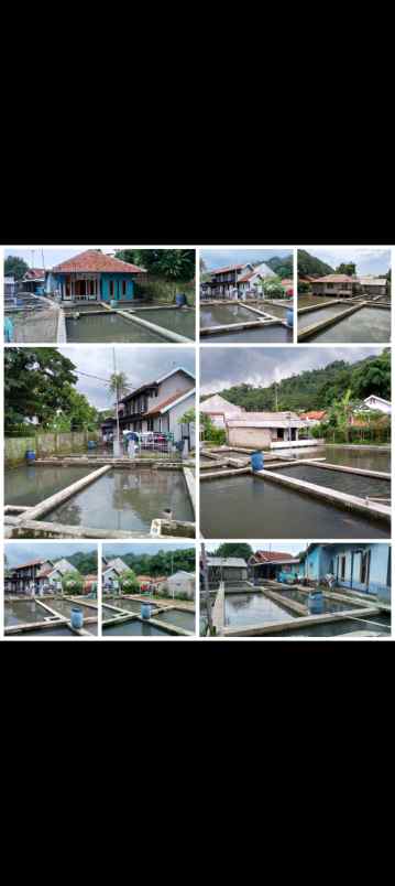 vila kolam ikan cijambe subang jawa barat