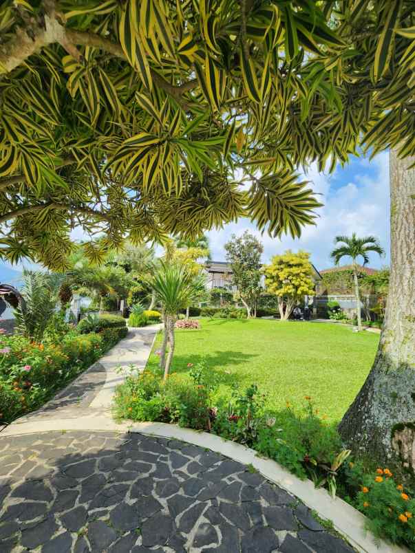 villa luas di samping istana cipanas