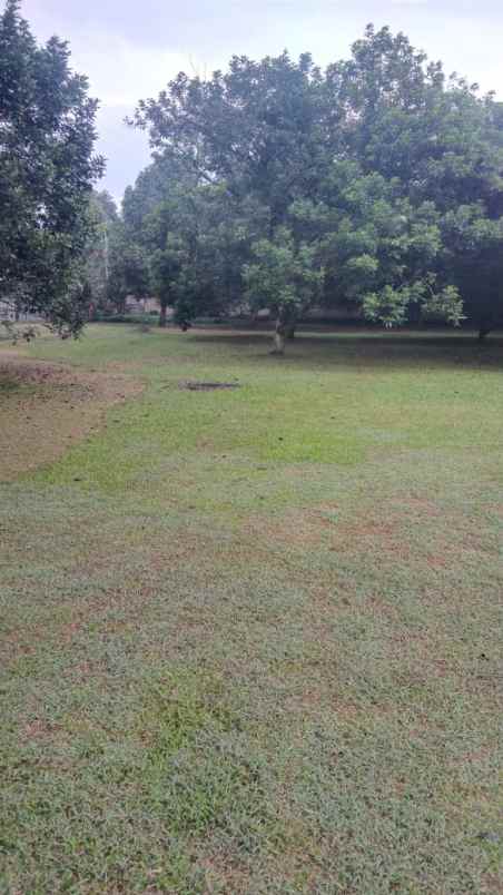 dijual b u b tanah 7000 m2 gunung sindur gg bandung