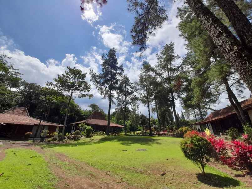 dijual cibulan river cottage lokasi cisarua kab