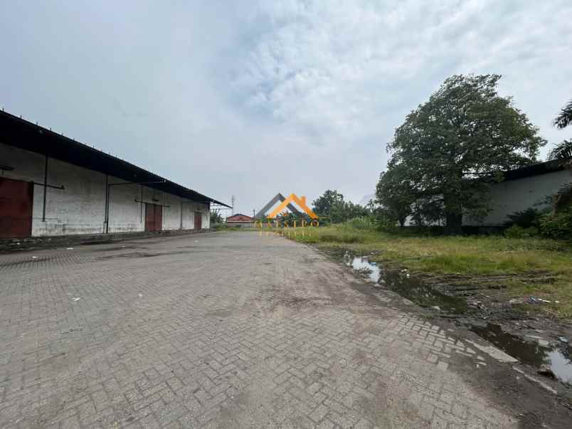 dijual ruko gudang kantor jalan kayu putih tj mulia