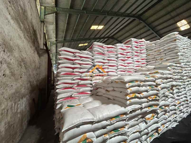 dijual ruko gudang kantor jalan kayu putih tj mulia