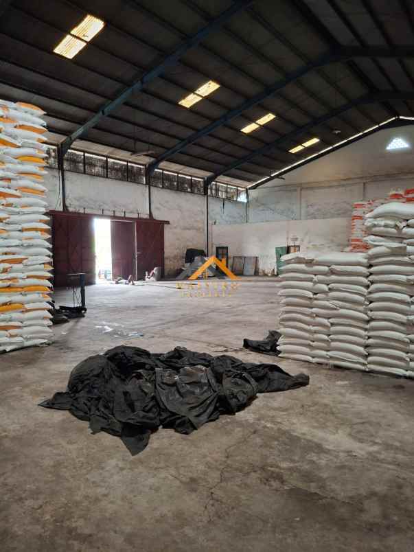 dijual ruko gudang kantor jalan kayu putih tj mulia