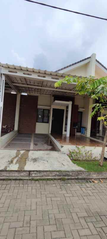 dijual rumah cluster ebony green ara