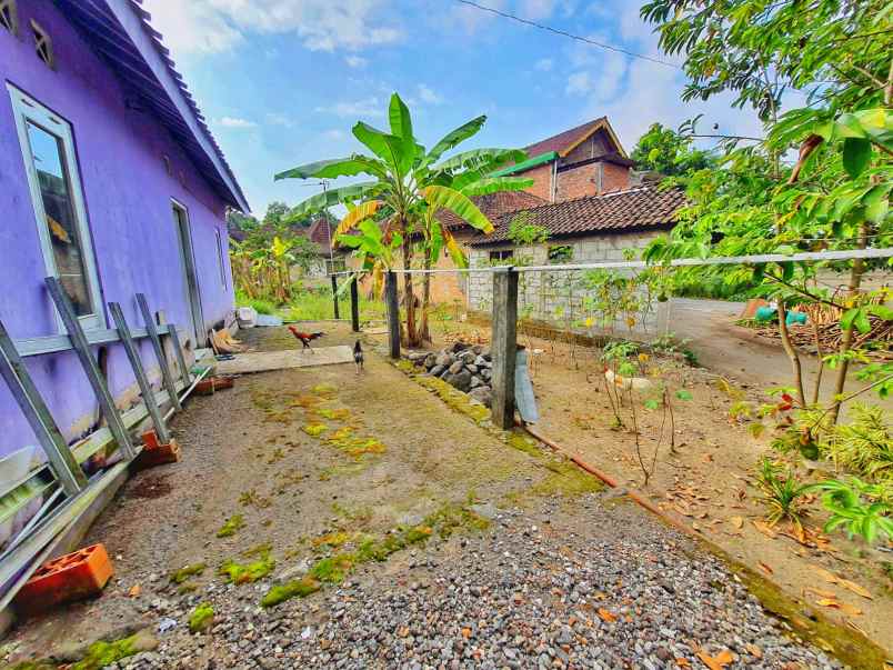 dijual rumah dekat spbu mindi