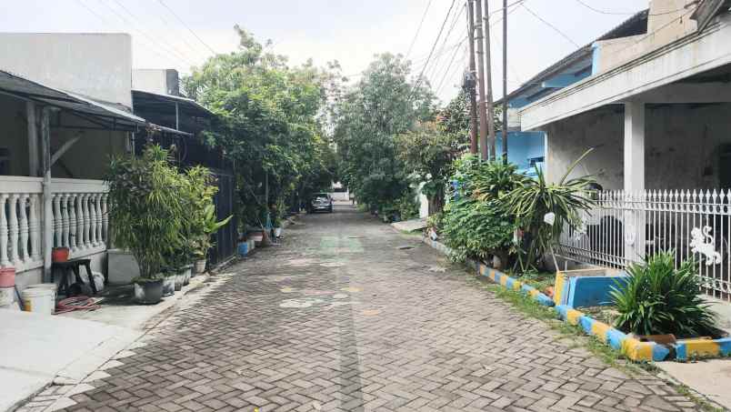 dijual rumah kedung baruk rungkut surabaya