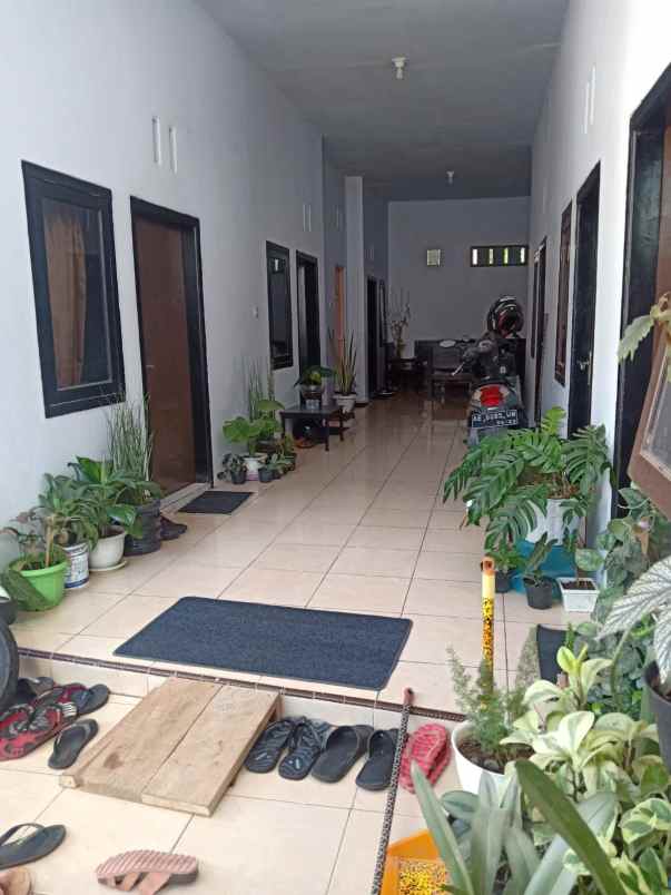 dijual rumah kos dekat kampus jember jl sumatera