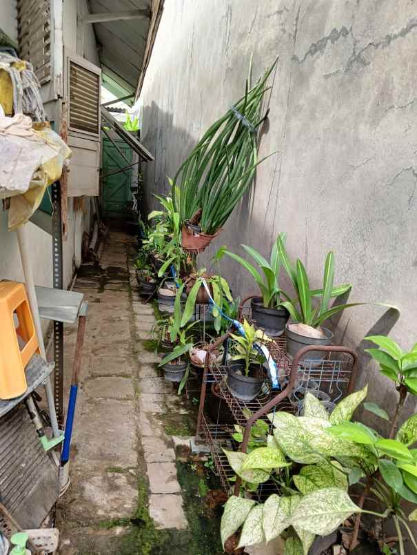 dijual rumah lampersari