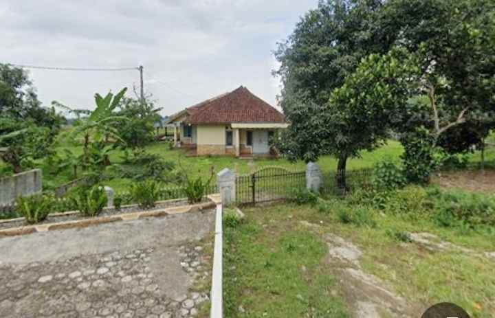 dijual rumah tanah sangat luas di beber cirebon