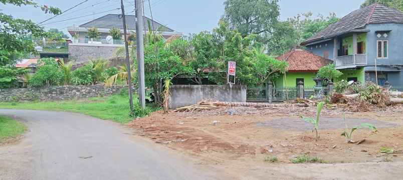 dijual sebidang tanah premium di lovina dgn vew sawah