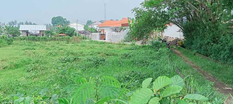 dijual sebidang tanah premium di lovina dgn vew sawah