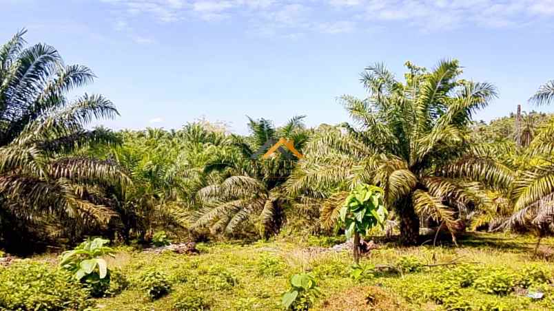 dijual tanah besitang kab langkat kec