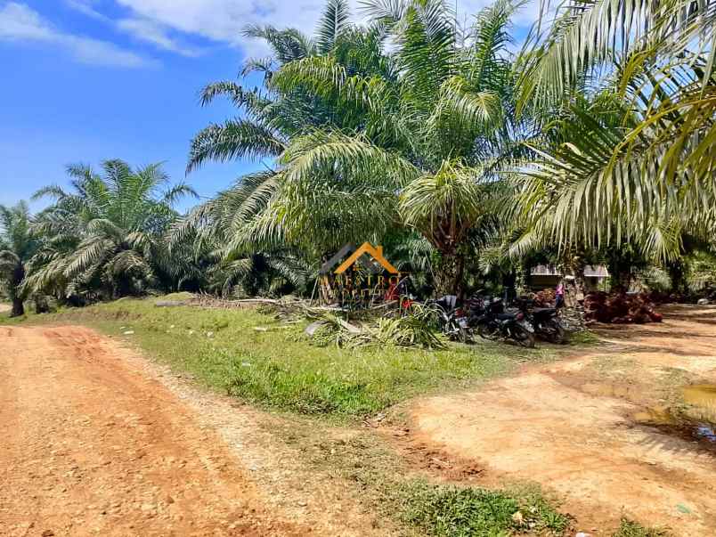 dijual tanah besitang kab langkat kec