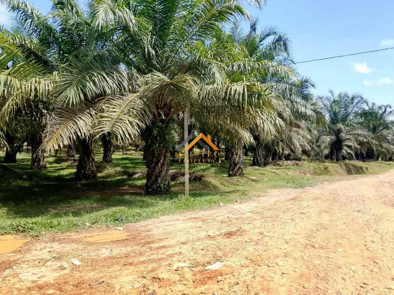 dijual tanah besitang kab langkat kec