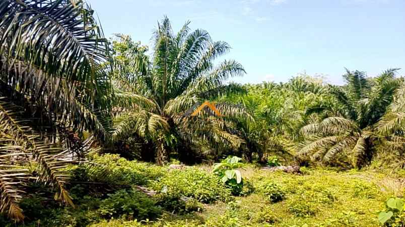 dijual tanah besitang kab langkat kec