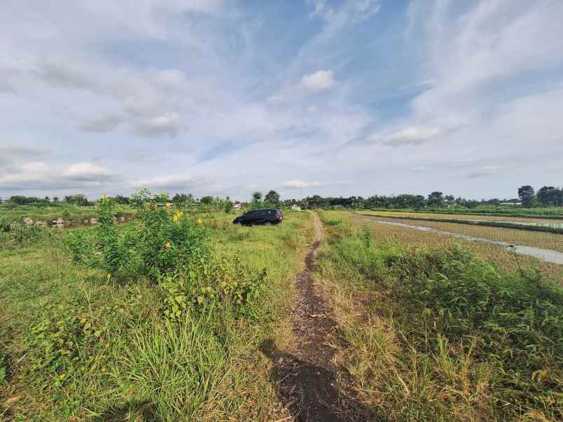 dijual tanah brengosan donoharjo