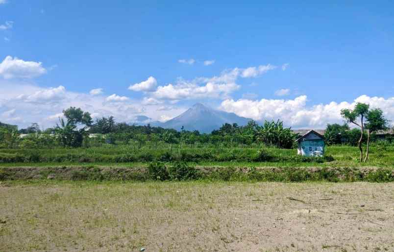 dijual tanah brengosan donoharjo