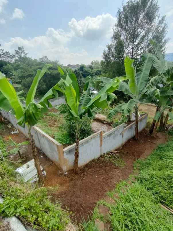 dijual tanah cicadas