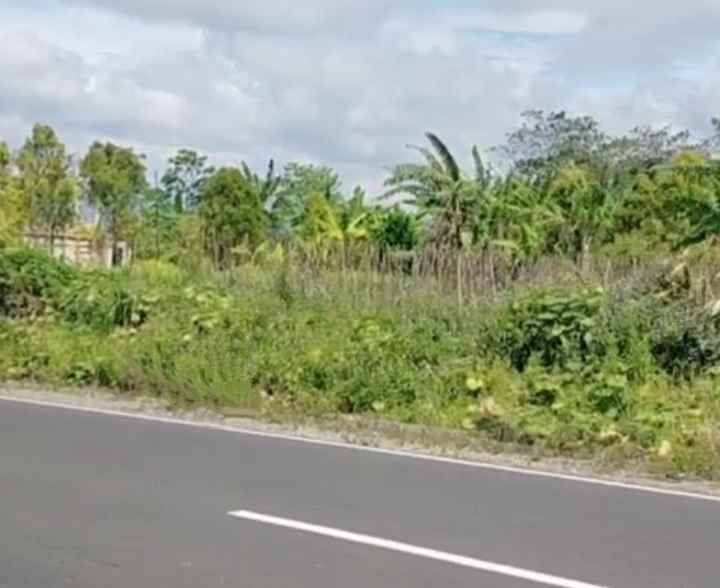 dijual tanah cisantana