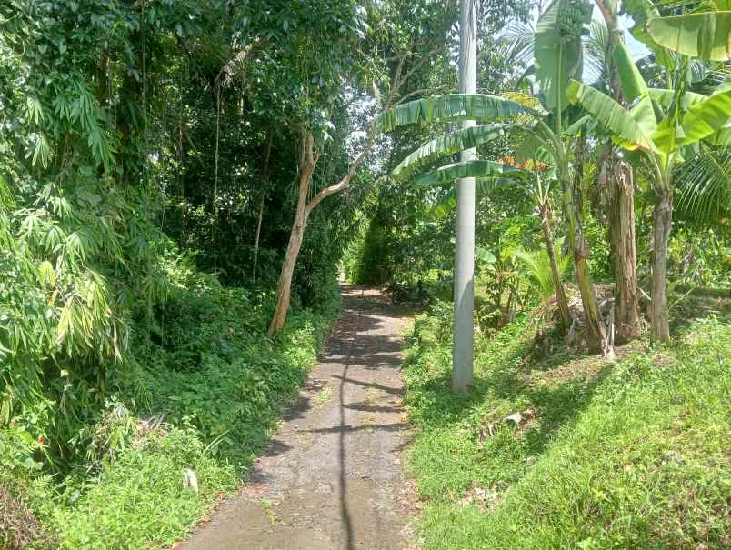 dijual tanah desa antosari kec