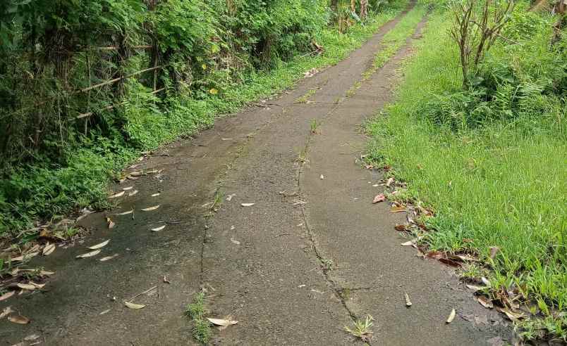 dijual tanah desa antosari kec