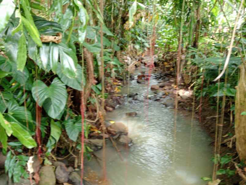 dijual tanah desa antosari kec