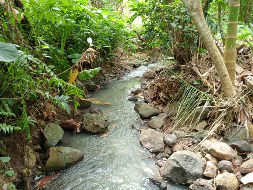 dijual tanah desa antosari kec