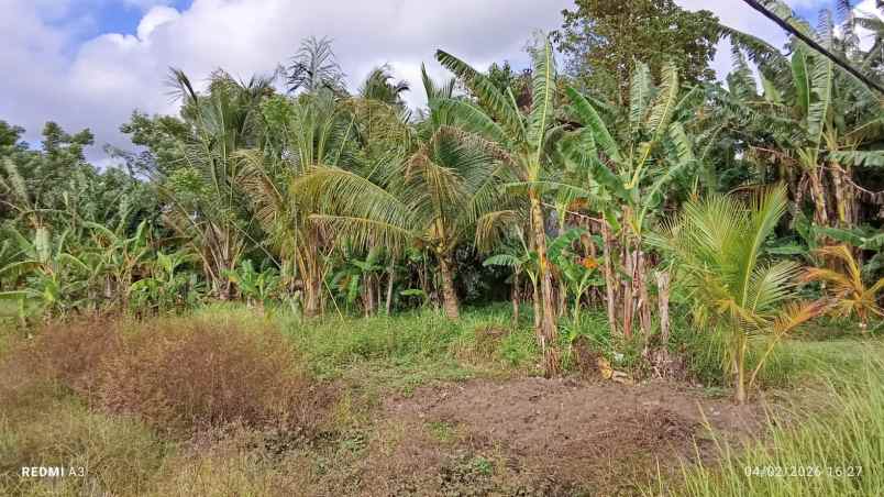 dijual tanah desa batuaji kec