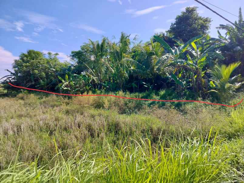 dijual tanah desa batuaji kec