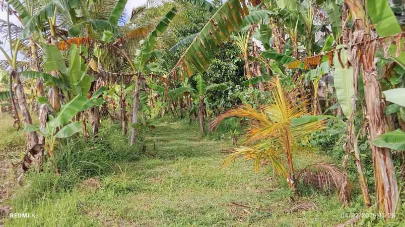 dijual tanah desa batuaji kec