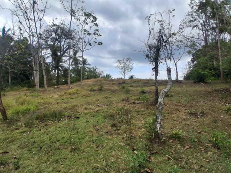 dijual tanah desa bengkel sari