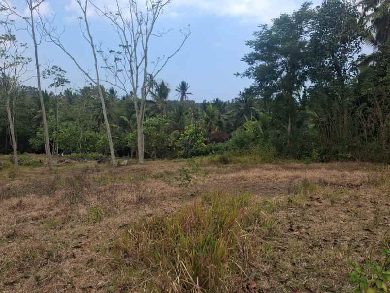 dijual tanah desa bengkel sari