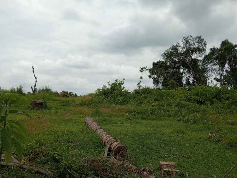 dijual tanah desa gadung sari kec