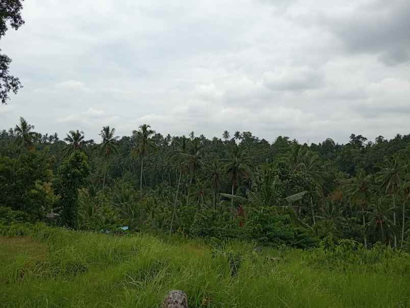 dijual tanah desa gadung sari kec