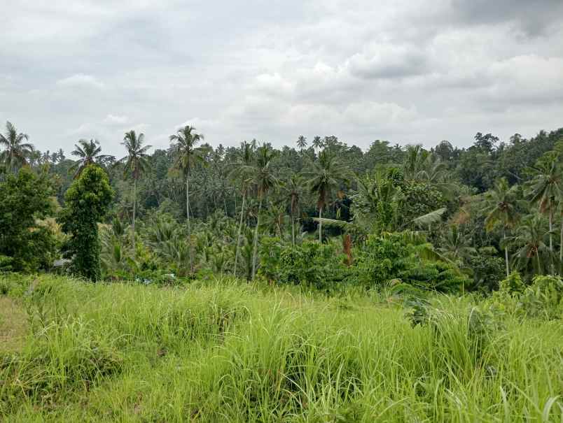 dijual tanah desa gadung sari kec