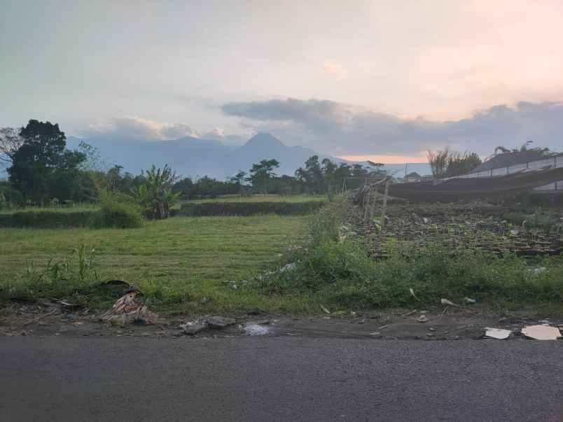 dijual tanah desa karangan