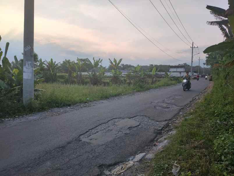 dijual tanah desa karangan