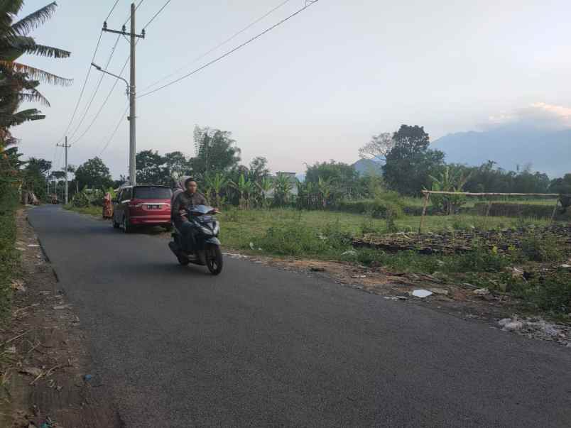 dijual tanah desa karangan