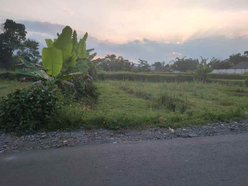 dijual tanah desa karangan