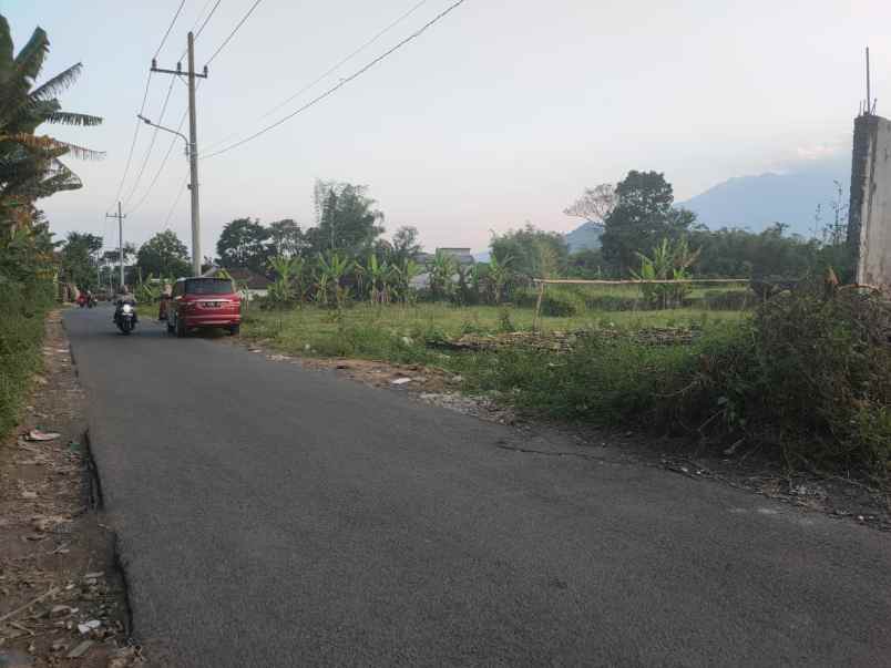 dijual tanah desa karangan