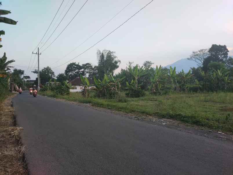 dijual tanah desa karangan