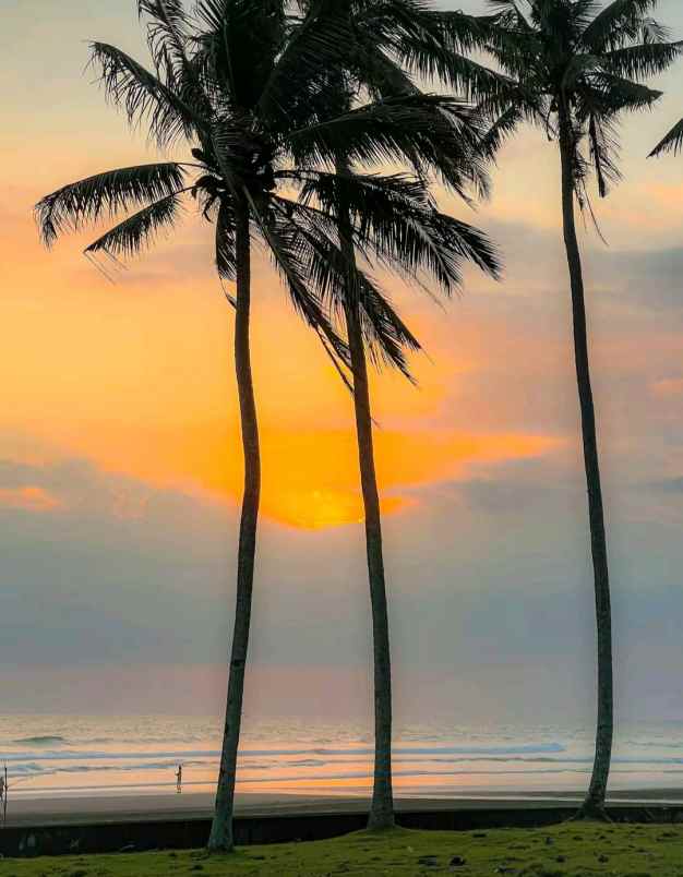 dijual tanah desa lalanglingah kec