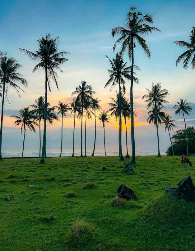 dijual tanah desa lalanglingah kec