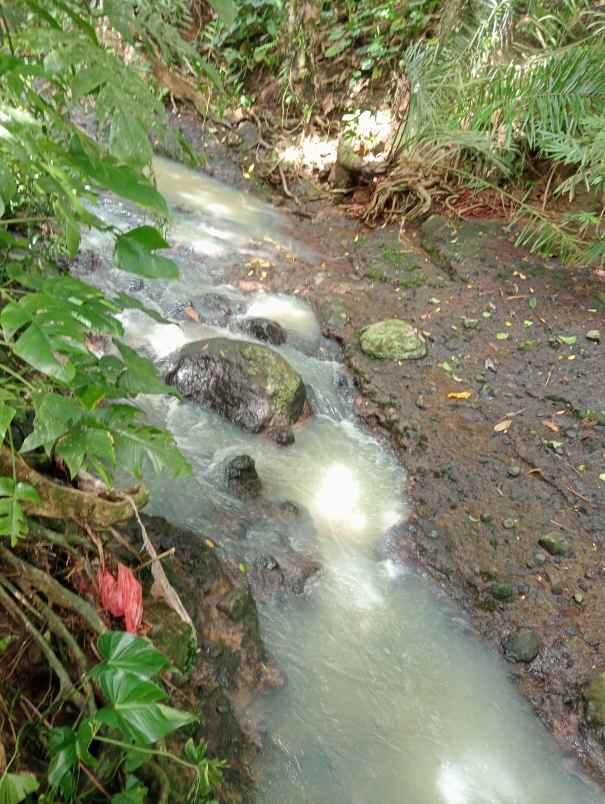 dijual tanah desa lumbung kec selemadeg