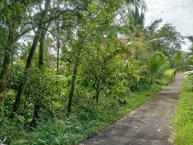 dijual tanah desa lumbung kec selemadeg