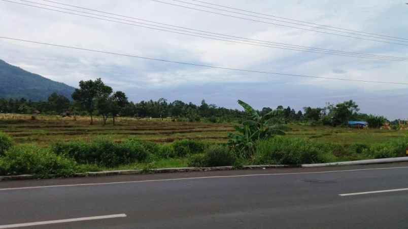 dijual tanah desa negeri pandan