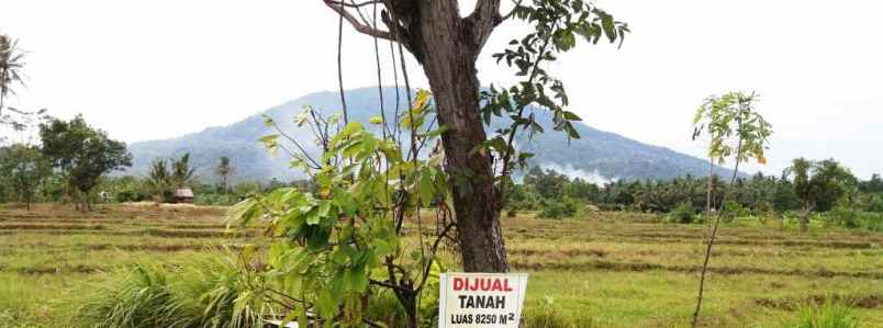 dijual tanah desa negeri pandan