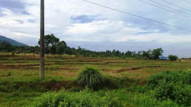 dijual tanah desa negeri pandan