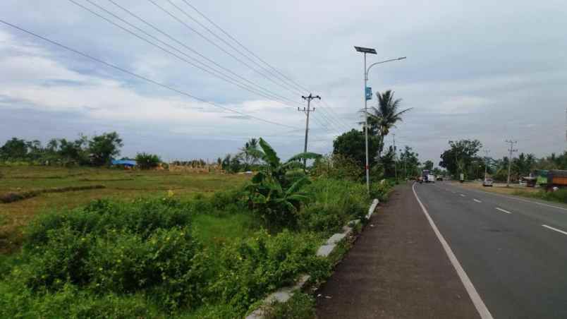 dijual tanah desa negeri pandan